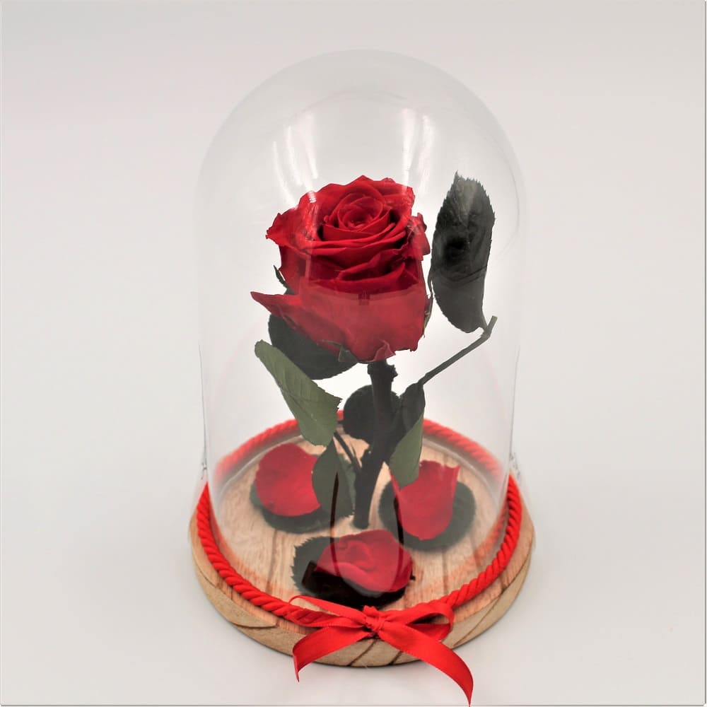 https://www.laviolettafiori.it/wp-content/uploads/2020/05/Rosa-Stabilizzata-Bell-Jar-Red-dett.jpg